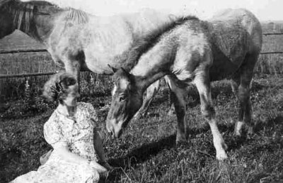 Hildegard_Bessel_Horses.jpg