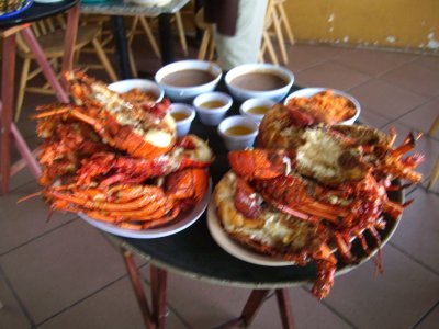 Lobster - Rosarito, Baja Caliornia