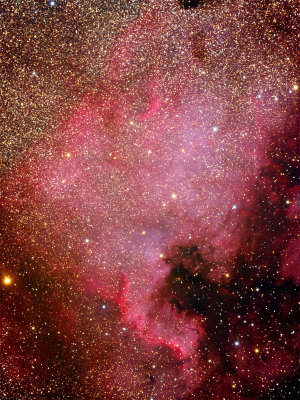 NGC7000 - North America Nebula