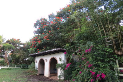 Hacienda Siesta Alegre 