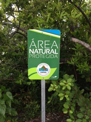 The town of Parguera has protected mangroves