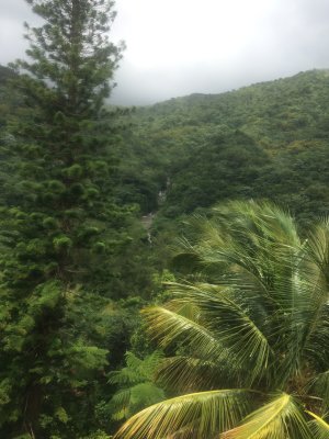 El Yunque rainforest from Casa Flamboyant  