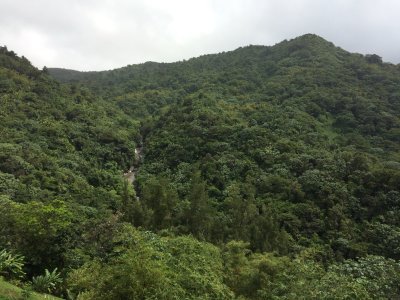 El Yunque rainforest from Casa Flamboyant