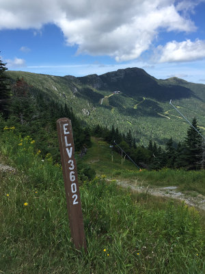 Mt Mansfield, Stowe, Vermont