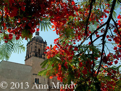 Santo Domingo in Spring