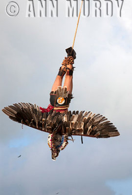 Eagle Voladore in Flight
