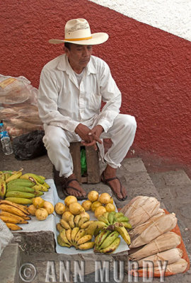 Vendor de las frutas