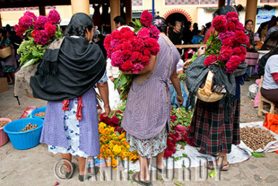 Buying Flowers