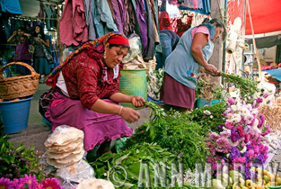 Selling flowers and herbs at Tlacolula