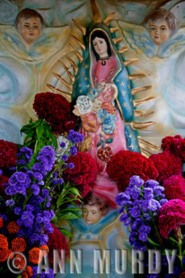Our Lady of Guadalupe in San Antonino