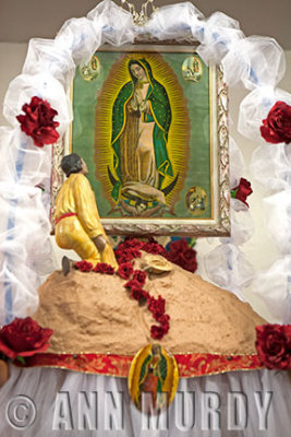 Altar for Our Lady of Guadalupe