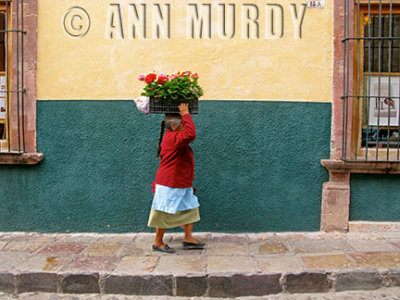 Carrying flowers