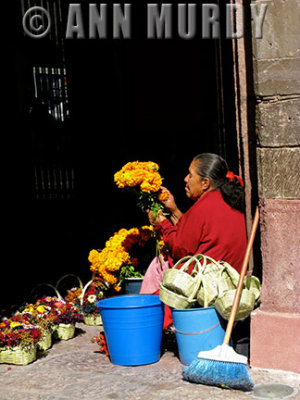 Marigold Vendor