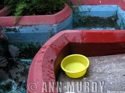 Yellow bowl