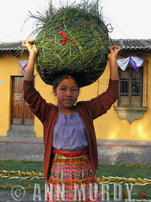 Girl with bundle of pine needles