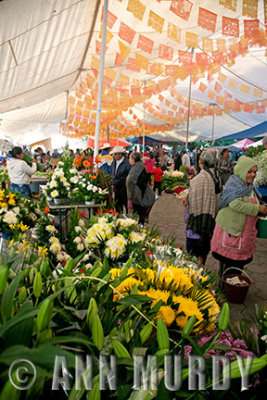 Market Day in Huaquechula