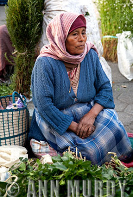 Market Vendor