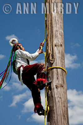 Voladore climbing up pole