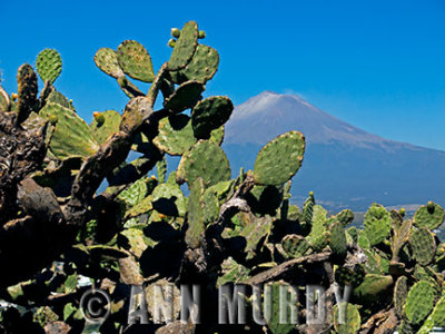 View of Popo in Atlixco