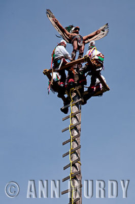 Eagle Voladore atop of the pole