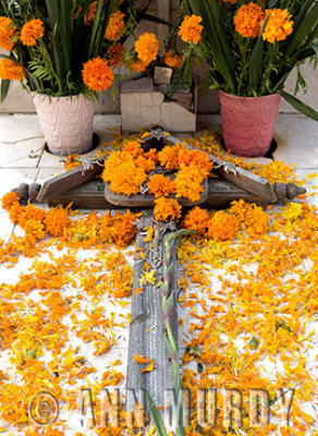 Grave decorated with marigolds