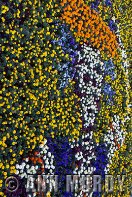 La Catrina floral carpet in Atlixco