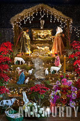 Posada Altar with Baby Jesus