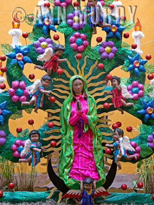 Our Lady of Guadalupe in Oaxaca City