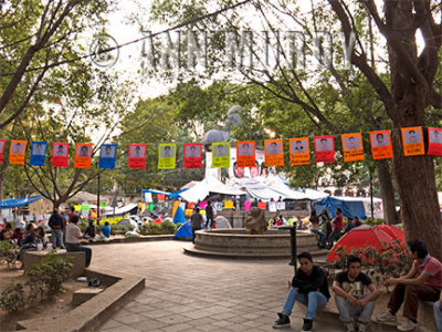 Protest banners on the zcalo