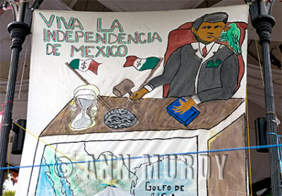 Poster against Pea Nieto