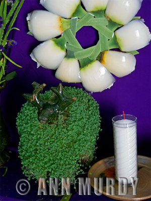 Chia sprouts and hearts of palm corona