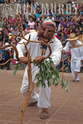 Section 5 Viejo dancing away