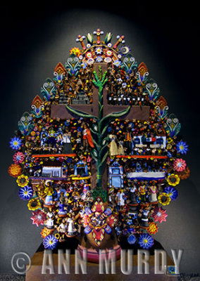 Tree of Life at the Anthropology Museum