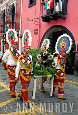 The Huahuas carrying processional float