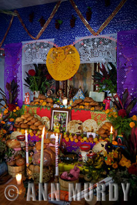 Altar for Juana