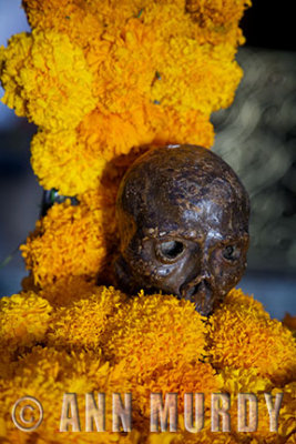 Chocolate skull and marigolds