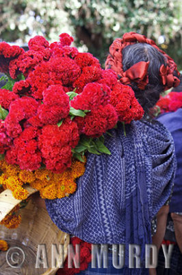 Carrying bundle of flowers