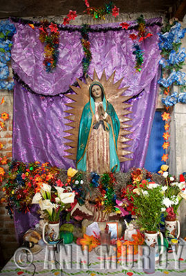 Altar for Our Lady of Guadalupe