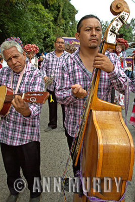 Musicians in parade
