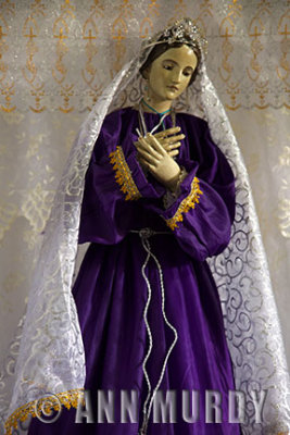 Virgin with veil
