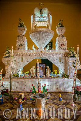 Altar for Leonardo Asaf Rosas Cabellero