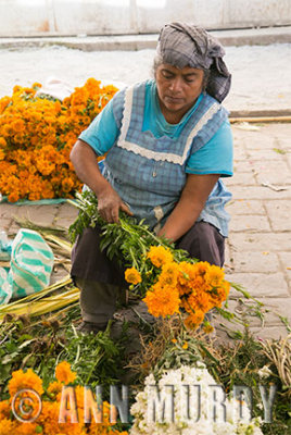 Selling marigolds