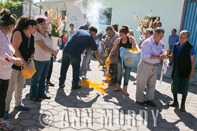 Sprinkling marigold path