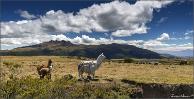 Ecuador - Life