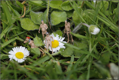 Cachs dans l'herbe