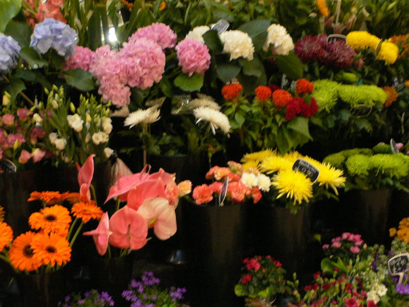 blombuketter Paddington