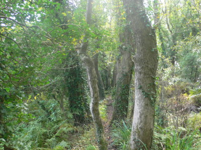 Holy vale trail