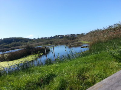 Lower moors