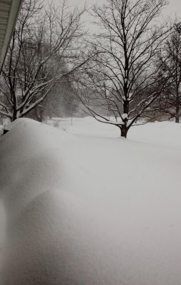 Bushes and Front Sidewalk -  Later