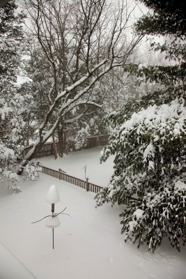 Looking down on the back yard